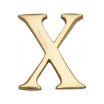 M Marcus Heritage Brass Letter X - Pin Fix 51mm